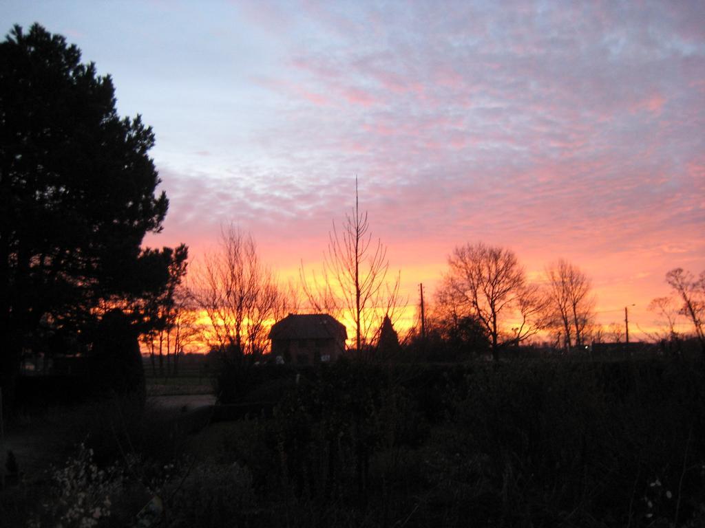 B&B Het Uilennest Bocholt エクステリア 写真
