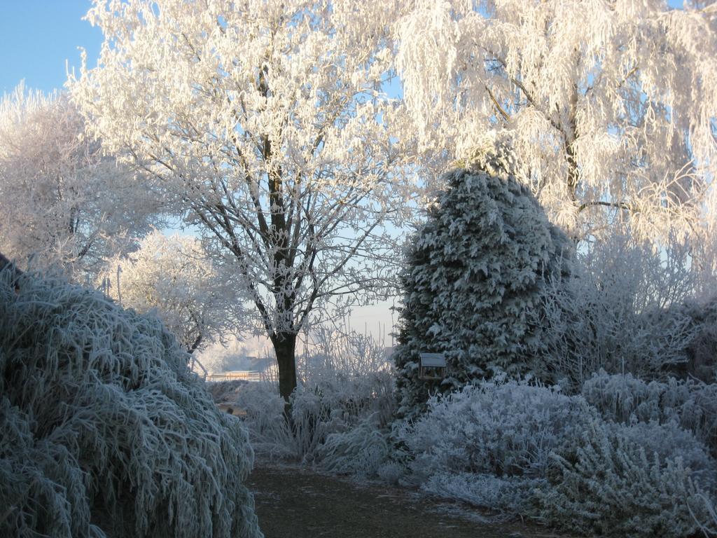 B&B Het Uilennest Bocholt エクステリア 写真