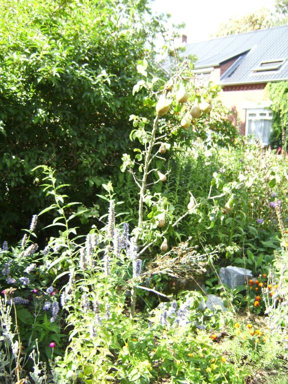 B&B Het Uilennest Bocholt エクステリア 写真