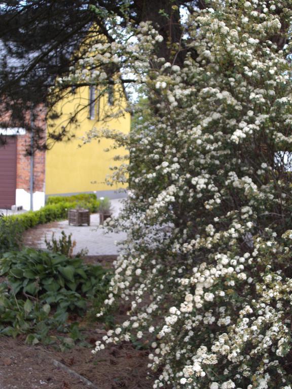 B&B Het Uilennest Bocholt エクステリア 写真