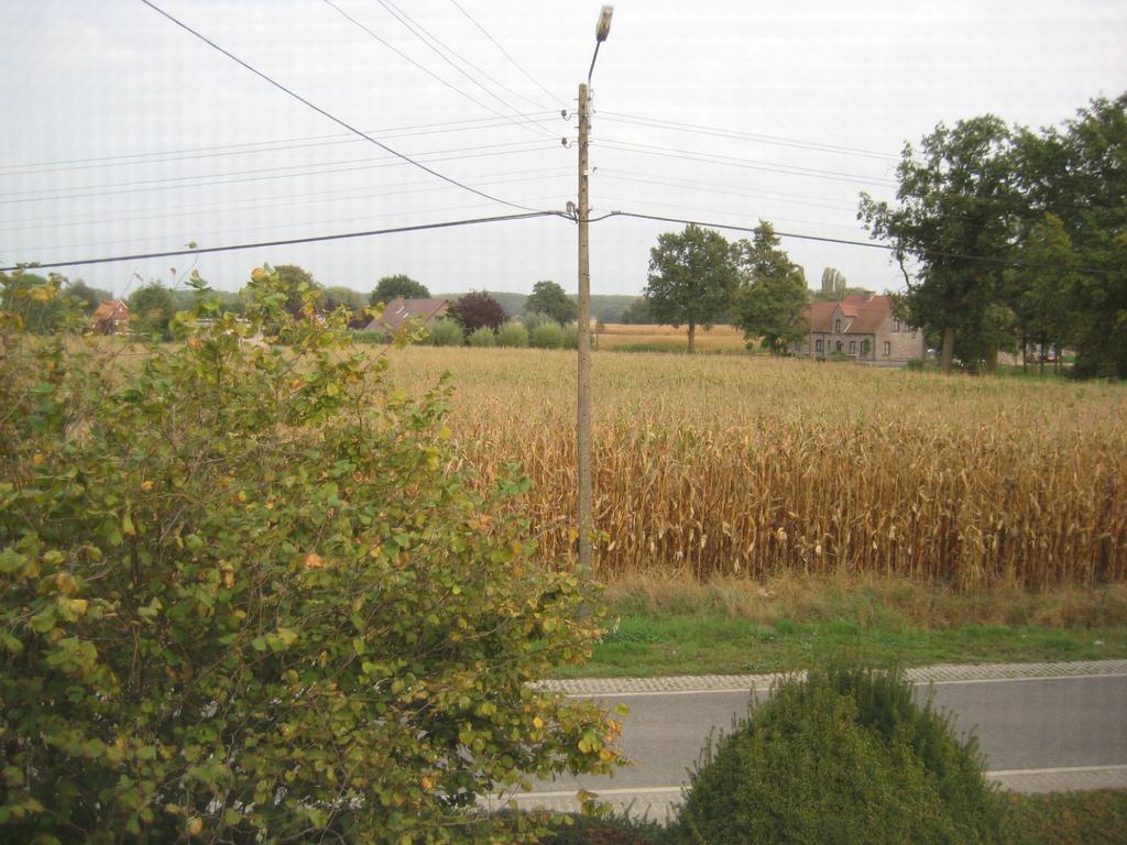 B&B Het Uilennest Bocholt エクステリア 写真